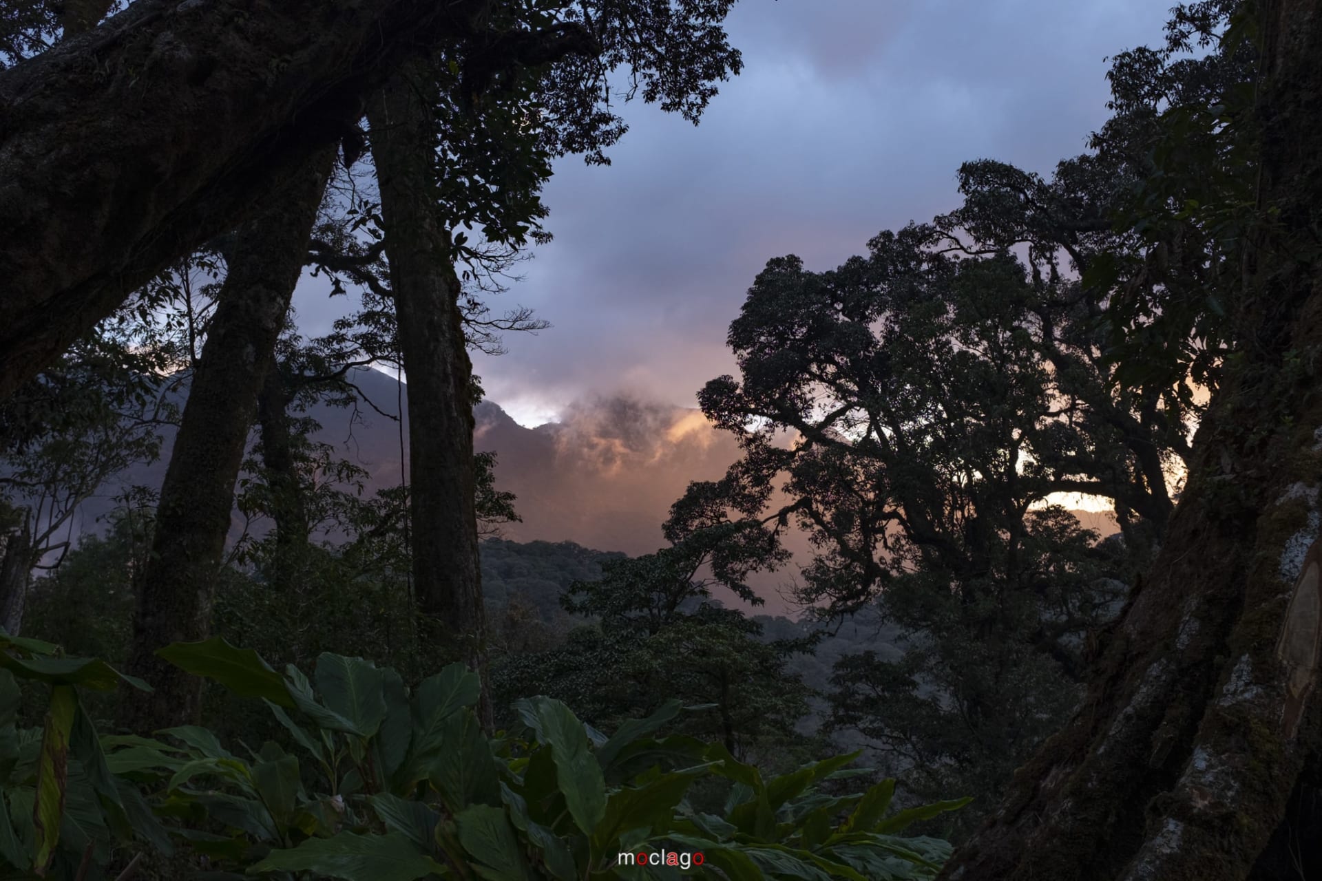 Trekking Nam Kang Ho Tao – Leo Núi “Lạ Lùng” Của Tây Bắc