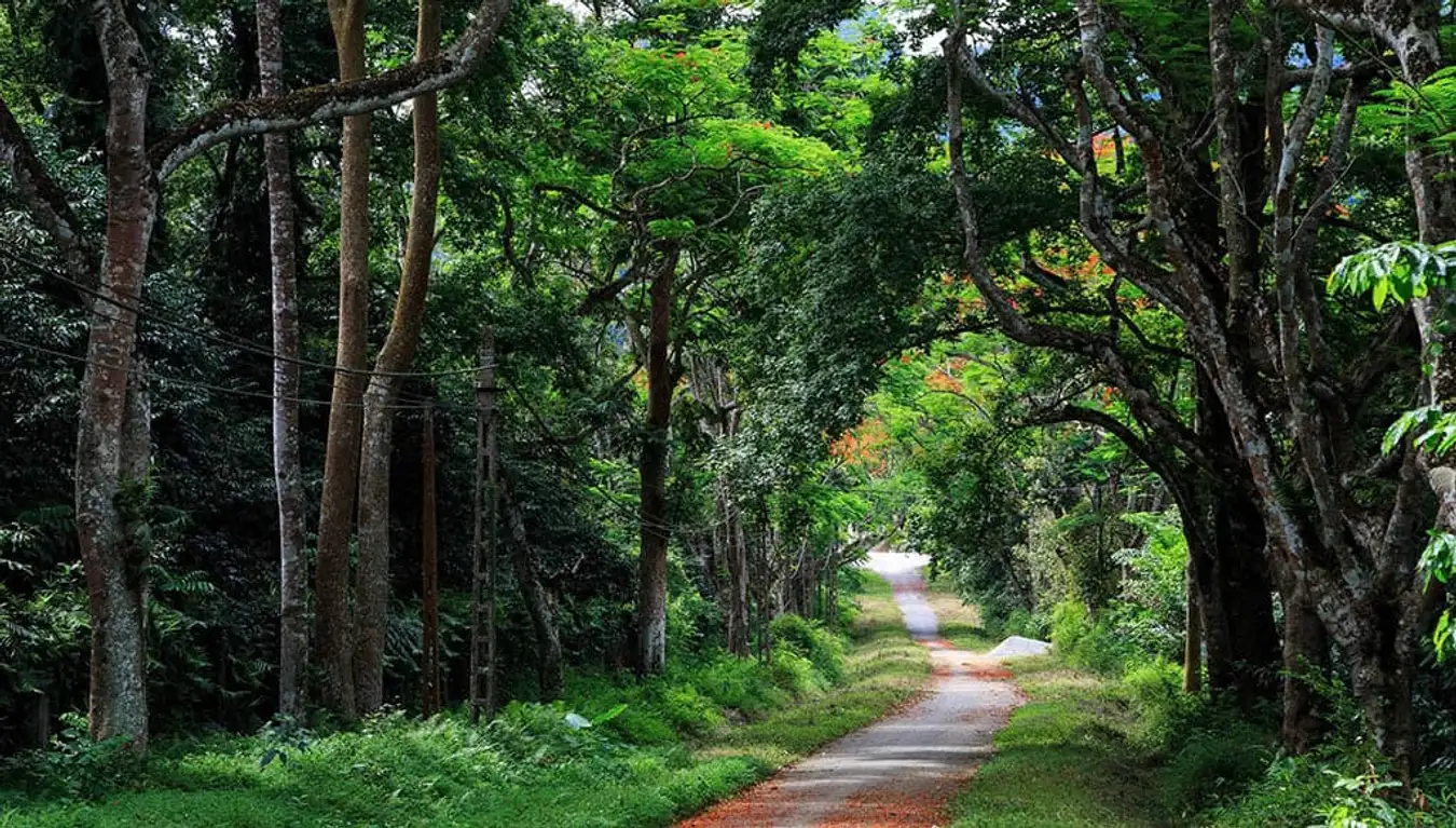 Mùa nào đẹp nhất "tung hoành" Núi Ba Vì